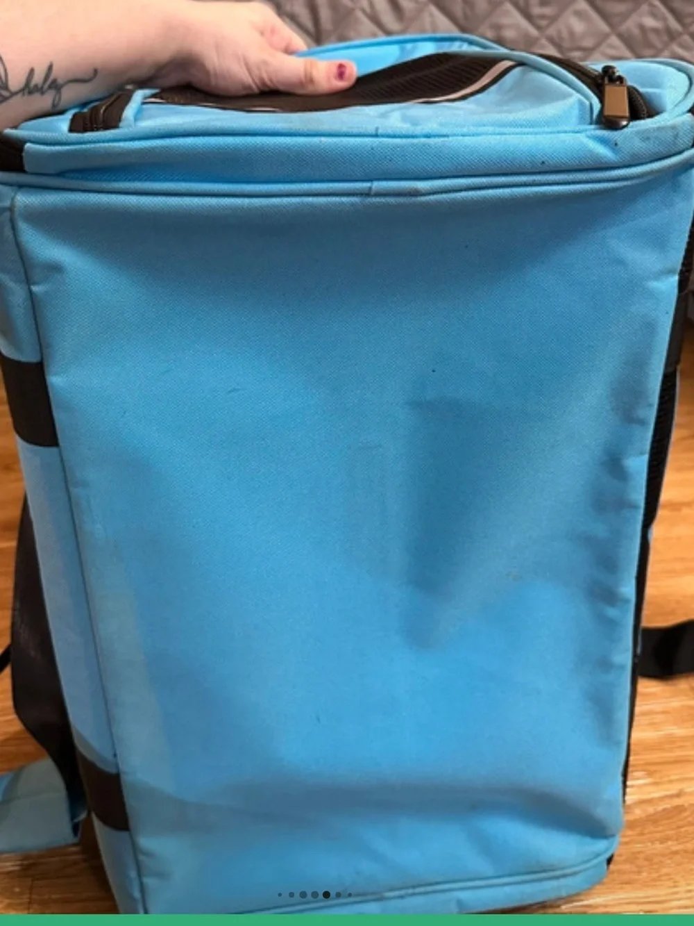 “Like New”. Excellent Condition! Foldable Blue Small Cat/Dog Pet Carrier.